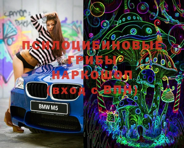 PSILOCYBIN Армянск