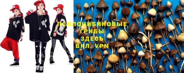 таблы Алзамай