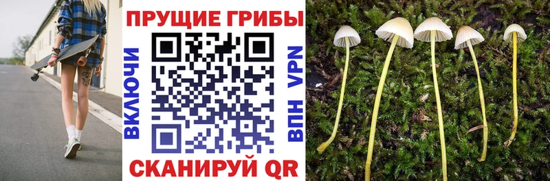 Псилоцибиновые грибы мухоморы  блэк спрут сайт  Аксай 