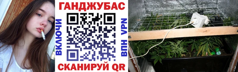 Каннабис сатива  Аксай 